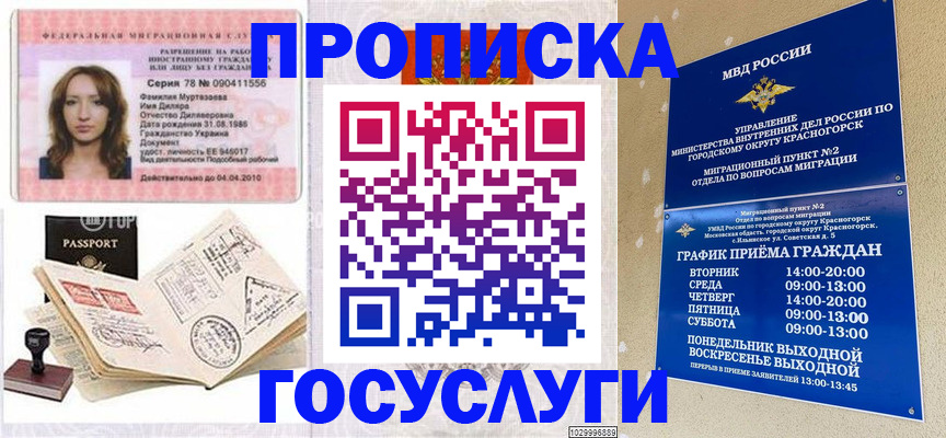 прописка 2025 в Тайшете